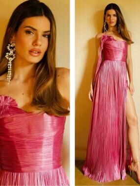 MARIA LUCIA HOHAN Odette Strapless Draped Pink Maxi Dress Size 4